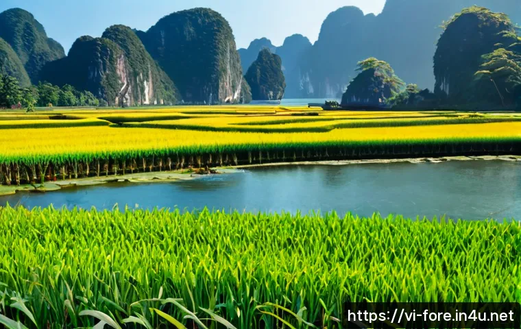 Cách chọn tài liệu học quản lý ngoại hối trực tuyến: lộ trình, đề luyện và chi phí cần cân nhắc 4 외환관리사 자격증 준비용 온라인 자료 관련 이미지 2