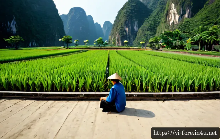 Quản lý ngoại hối hiệu quả: chiến lược tỷ giá và tiêu chí chọn tư vấn phù hợp 4 외환관리사와 외환 관리 전략 공유 팁 관련 이미지 2